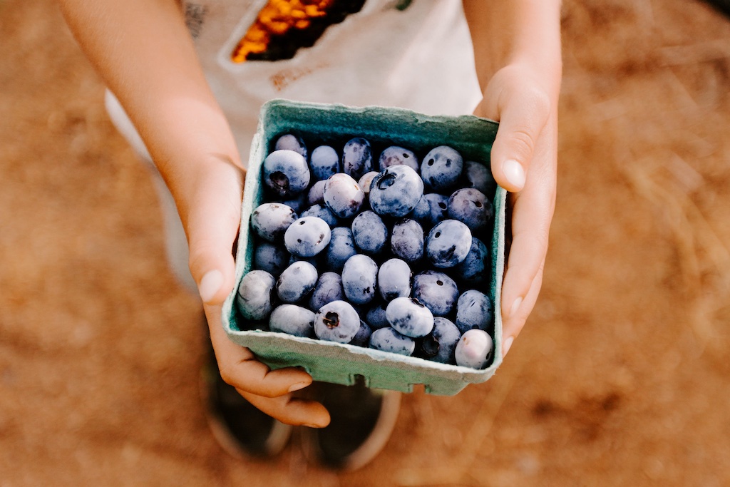 Our blueberries)